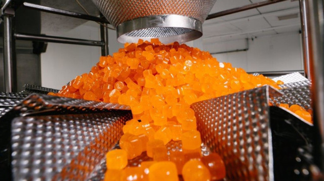 מפעל "טופ גאם" בעוטף עזה (צילום: יח"צ)