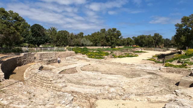 גן לאומי אשקלון (צילום:  יניב כהן רשות הטבע והגנים)