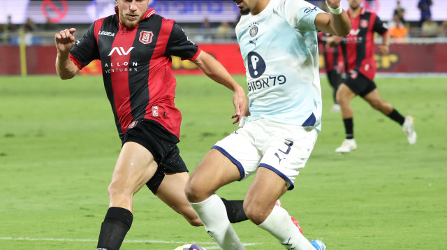 רוי רביבו (צילום: דני מרון)