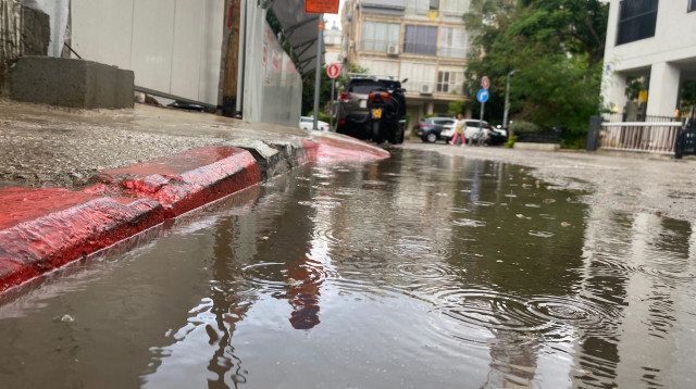 גשם (צילום: אבשלום ששוני)