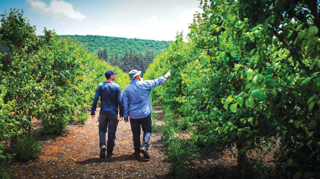 חקלאים בישראל (צילום: באדיבות אדמה)