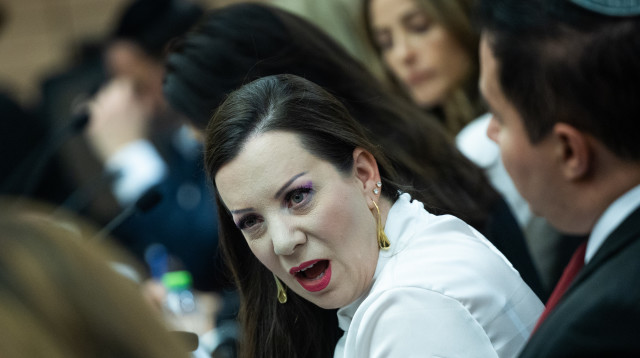 טלי גוטליב (צילום: יונתן זינדל פלאש 90)