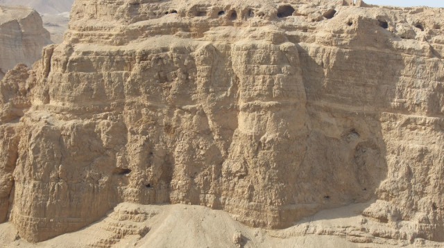 שדה שעורה בהרי ירושלים (צילום: המעבדה לבוטניקה ארכיאולוגית, בר אילן, ד״ר מיכל דוד)