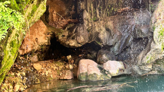 שמורת הטבע עין גדי (צילום: רשות הטבע והגנים)