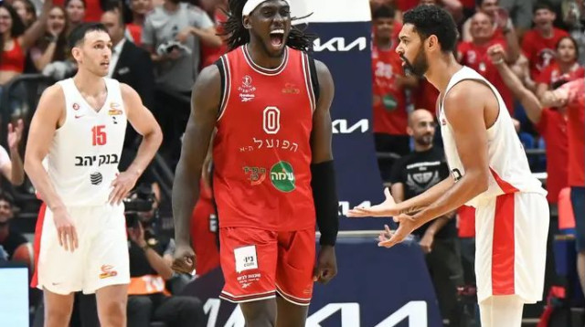 חגיגה אדומה. מוטלי (צילום: ברני ארדוב)