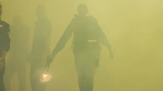  (צילום: מאור אלקסלסי)