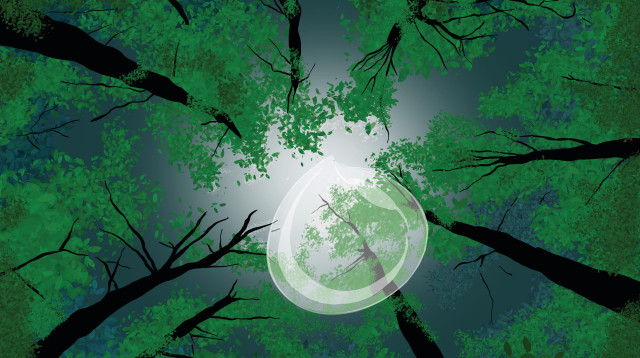 הטור של מרסל מוסרי (צילום: אורי פינק)