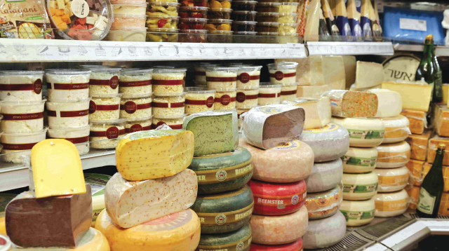 מקרר גבינות (צילום: ללא קרדיט)