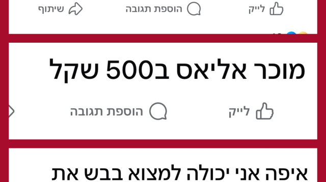 הביקוש לאליאס (צילום: צילום מסך)