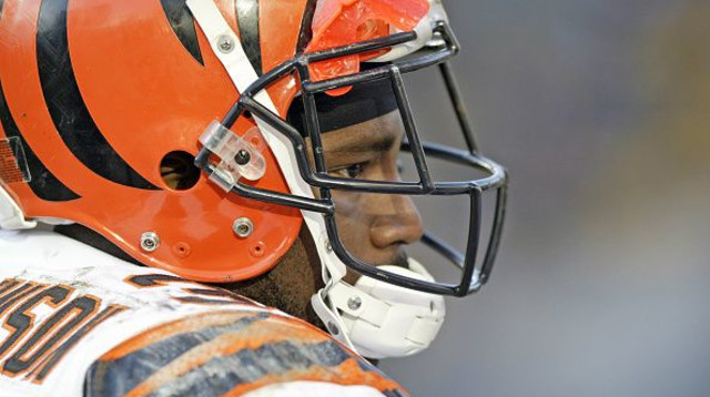 רודי ג'ונסון (צילום: George Gojkovich)