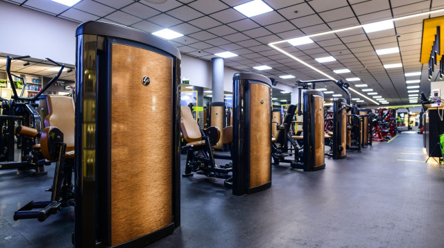 הדובדבן שעל הקצפת: הסיבה האמיתית שחופשה באילת לא שלמה בלי מתחם הפיטנס החלומי (צילום: שלומי זירה)