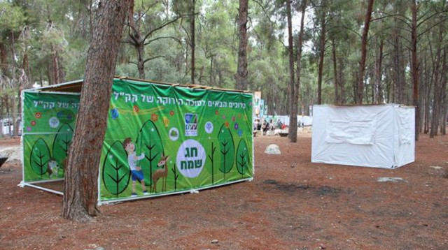 פעילות קק"ל לסוכות (צילום: יואב דביר, ארכיון הצילומים של קק"ל)