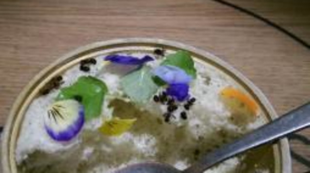 יוגורט נמלים (צילום: רשתות חברתיות)