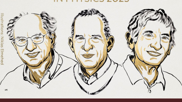 הזוכים בפרס נובל לפיזיקה (צילום: מכון קרולינסקה)