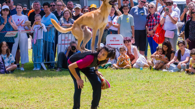 רוקדים עם כלבים  (צילום: פרדו יגאל)