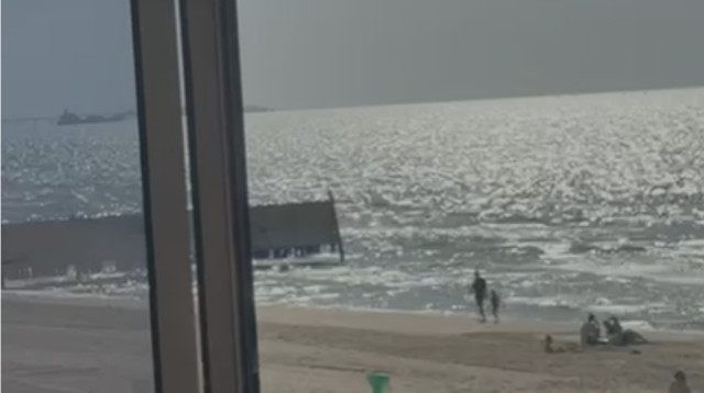 חשש לכריש באשקלון (צילום: דוברות עיריית אשקלון)