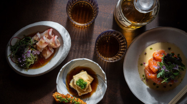 קיוטו&רפא  (צילום: דויד מויאל)