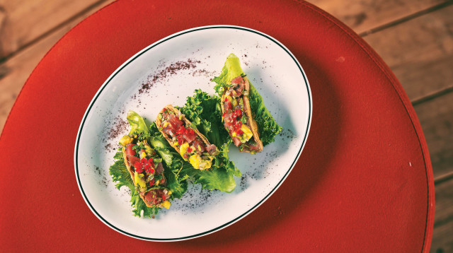 זנזי טאקו טונה  (צילום: אלון צרפתי)