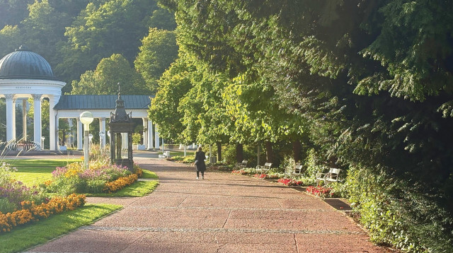 גינות המלון (צילום: מיטל שרעבי)