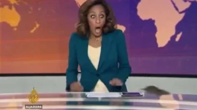 עכבר פרץ לשידור חי בערוץ "אל־ג׳זירה אנגלית" (צילום: צילום מסך)