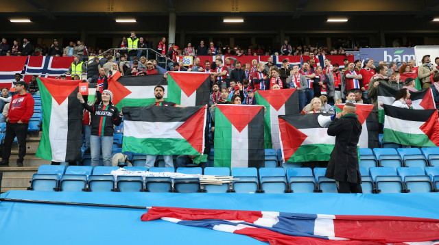 דגלי פלסטין במשחק של נבחרת נורבגיה נגד נבחרת ישראל (צילום: אודי ציטיאט)