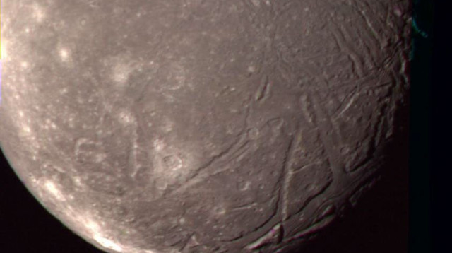 הירח אריאל (צילום: NASA)