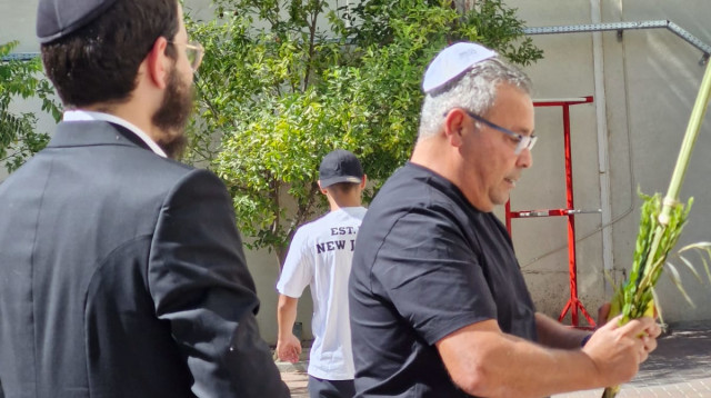 מבצע לולב (צילום: חב"ד)