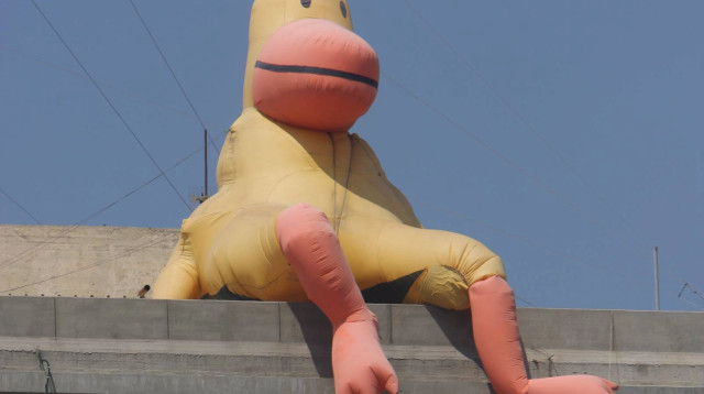 הברווז על גג עיריית תל אביב צילום ארכיון 2008 (צילום: יוסי אלוני)