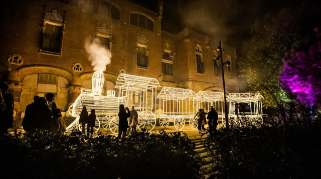 Winter Dreams  (צילום: באדיבות הגן הבוטני גבעת רם)