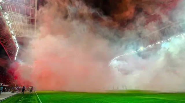  (צילום: אריאל שלום)