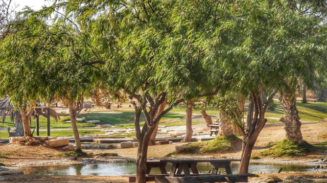 שמורת הטבע (צילום: שרית פלצי מיארה, רשות הטבע והגנים)