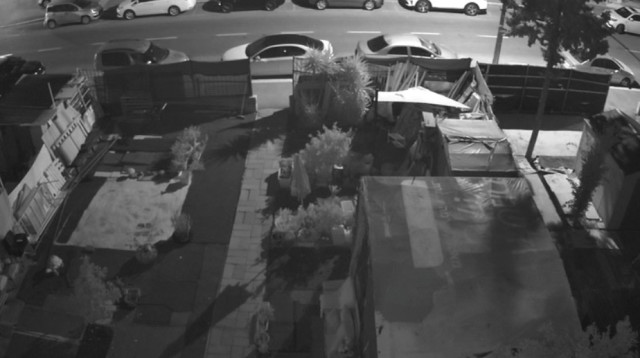 וונדליזם במכוניות (צילום: דוברות המשטרה)