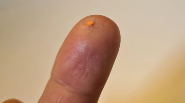 השתל הביוני (צילום:  בי"ח מורפילדס)