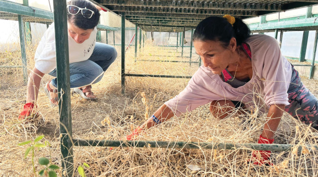 סמדר כרמון (צילום: פרטי)