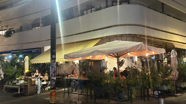 דיזינגוף (צילום: מאיה כהן)