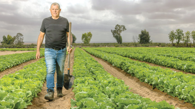 אבי פרחי (צילום: יוסי אלוני)
