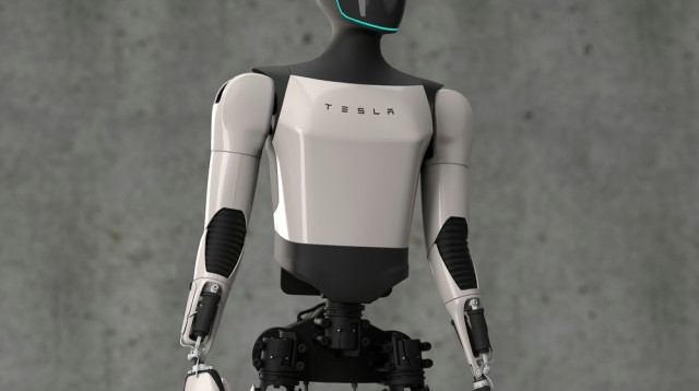 הרובוט אופטימוס. יחליף בני אדם היכן שאפשר (צילום:  שאטרסטוק)