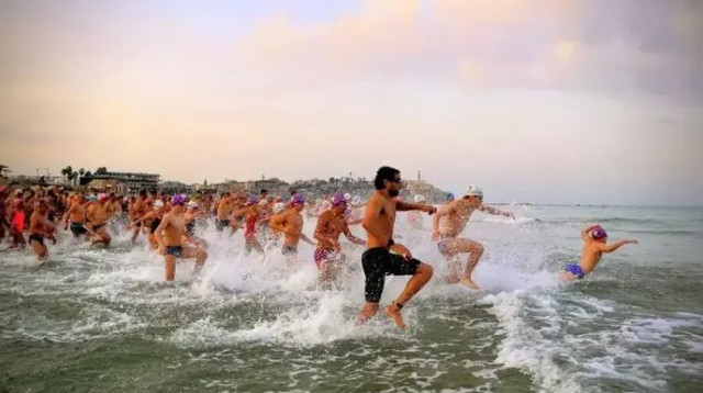  (צילום: ארז ארטנשטיין, שוונג)