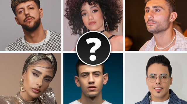 סקר זמרים (צילום: רפי דלויה,דניאל קמינסקי,אור דנון,תום עמוס)