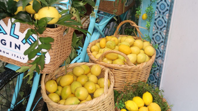 פופ-אפ איטלקי עם מותג הג'ין MALFY במסעדת נואמה (צילום: גולדן הפקות)