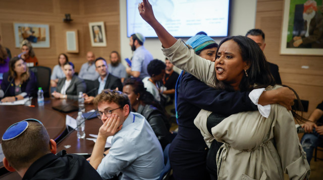 פנינה תמנו שטה בוועדה לביטחון לאומי (צילום: נועם מושקוביץ, דוברות הכנסת)