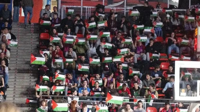  (צילום: אתר רשמי, אלעד גולדשטיין, מכבי תל אביב)