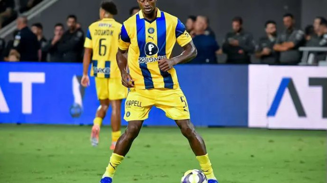 קמארה (צילום: אריאל שלום)