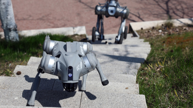 כלבים רובוטיים בסין (צילום: רויטרס)