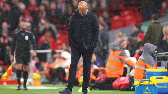 ארנה סלוט (צילום: Molly Darlington)