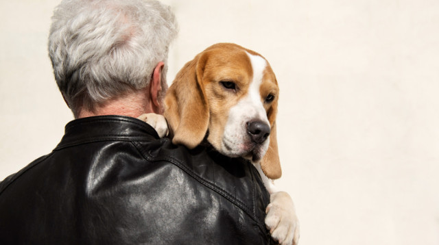 בריאות הלב והנפש: איך כלב קטן יכול לשנות חיים גדולים (צילום: FREEPIK)