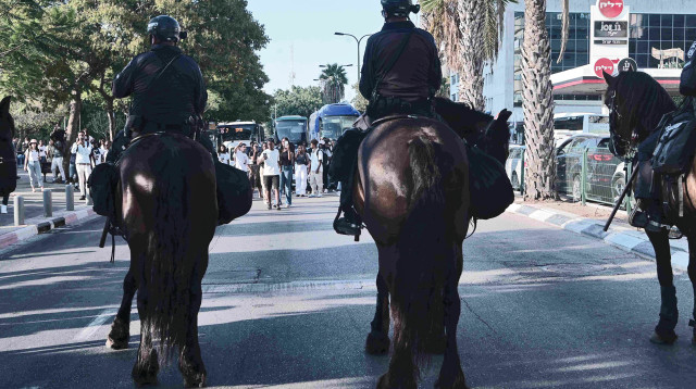 פרש משטרה על סוס (צילום: אבשלום ששוני)
