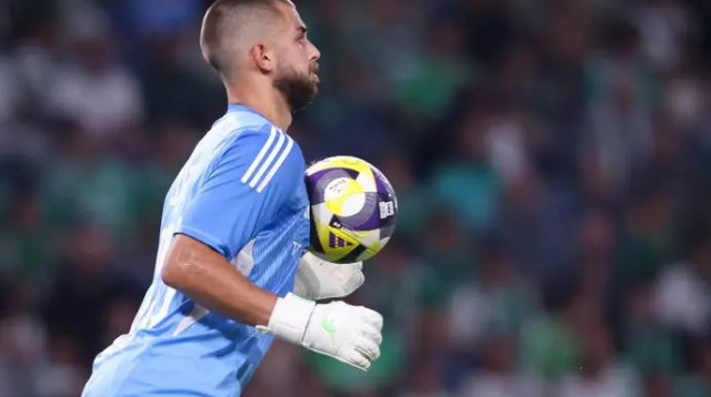 גאורגי ירמקוב (צילום: מאור אלקסלסי)