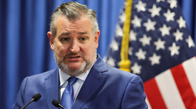 טד קרוז (צילום: REUTERS/Eloisa Sanchez)