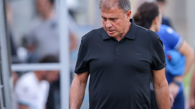 אלישע לוי (צילום: מאור אלקסלסי)